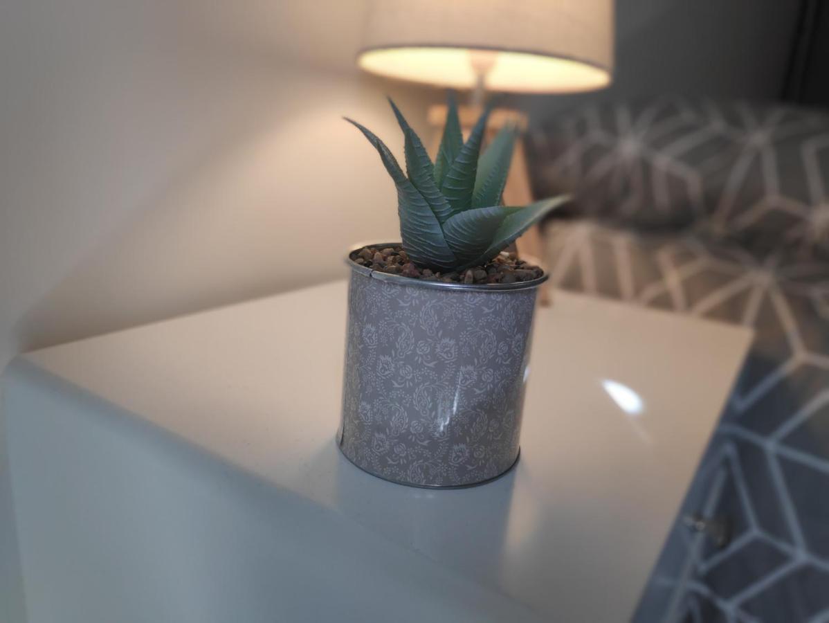 Apartmán Agreable T2 Neuf -Le Dome- Riom Exteriér fotografie